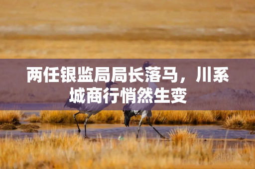 两任银监局局长落马，川系城商行悄然生变
