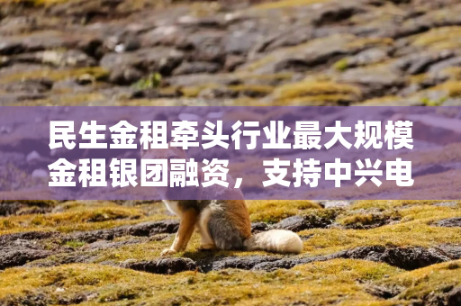 民生金租牵头行业最大规模金租银团融资，支持中兴电力首台重大技术装备发展