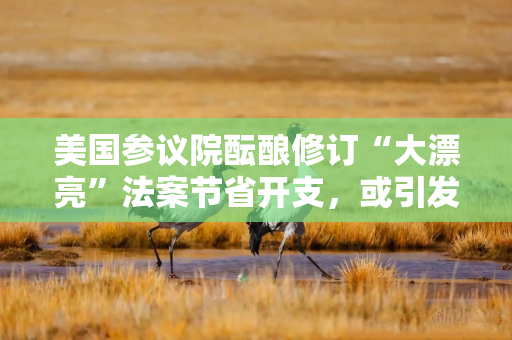 美国参议院酝酿修订“大漂亮”法案节省开支，或引发共和党内分裂