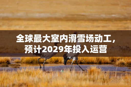 全球最大室内滑雪场动工，预计2029年投入运营