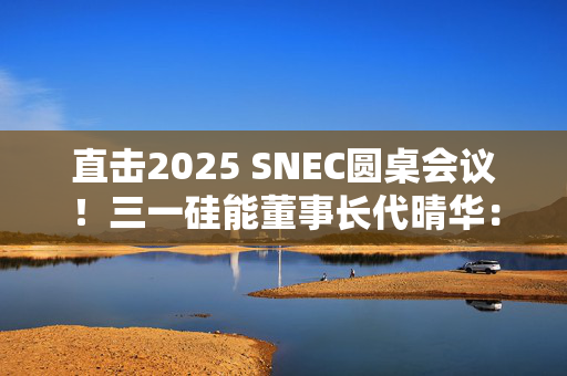 直击2025 SNEC圆桌会议！三一硅能董事长代晴华：新能源革命才刚刚来临，风光依然无限