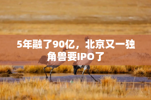 5年融了90亿，北京又一独角兽要IPO了
