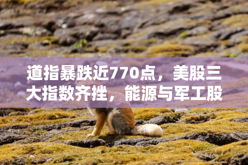 道指暴跌近770点，美股三大指数齐挫，能源与军工股逆势上涨