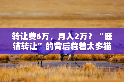 转让费6万，月入2万？“旺铺转让”的背后藏着太多猫腻