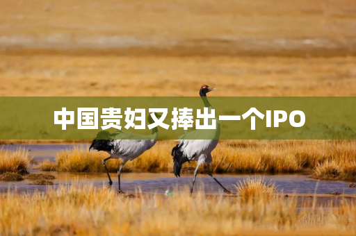 中国贵妇又捧出一个IPO