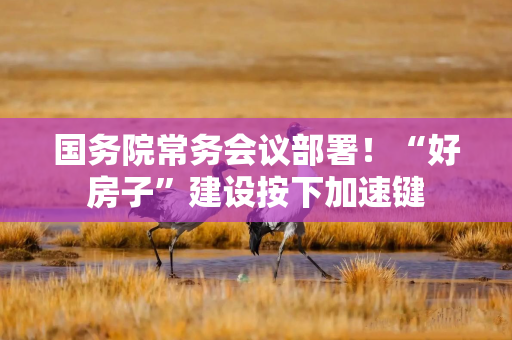 国务院常务会议部署！“好房子”建设按下加速键