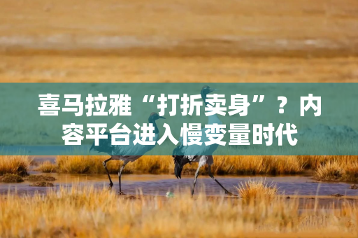 喜马拉雅“打折卖身”？内容平台进入慢变量时代