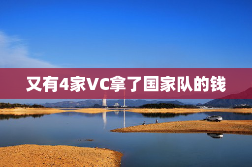 又有4家VC拿了国家队的钱