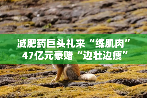 减肥药巨头礼来“练肌肉” 47亿元豪赌“边壮边瘦”