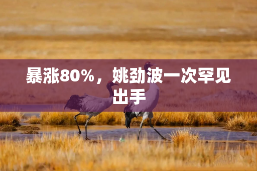 暴涨80%，姚劲波一次罕见出手