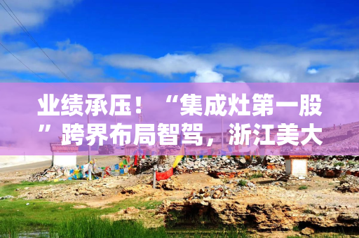 业绩承压！“集成灶第一股”跨界布局智驾，浙江美大斥资1.1亿入股魔视智能