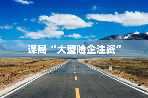 谋局“大型险企注资”