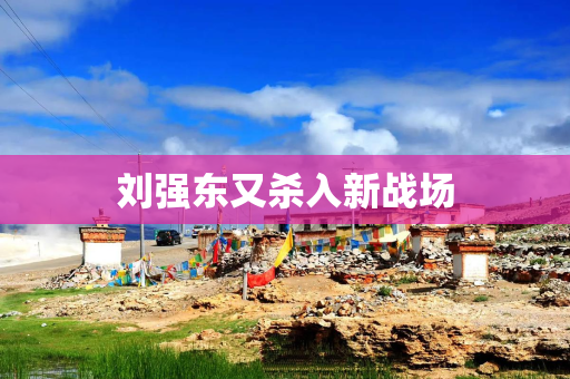 刘强东又杀入新战场
