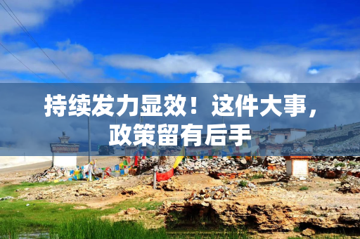 持续发力显效！这件大事，政策留有后手