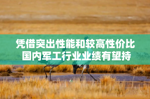 凭借突出性能和较高性价比 国内军工行业业绩有望持续增长