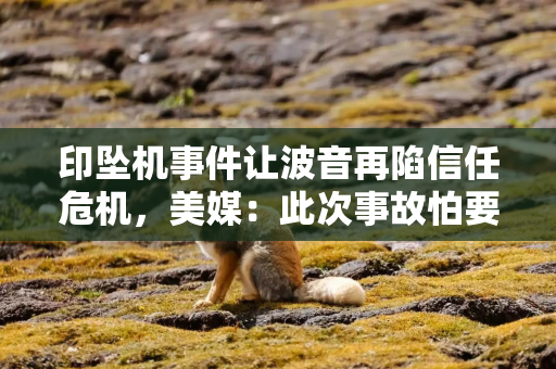印坠机事件让波音再陷信任危机，美媒：此次事故怕要让波音好势头戛然而止