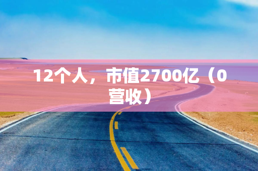 12个人，市值2700亿（0营收）