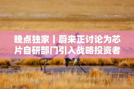 晚点独家丨蔚来正讨论为芯片自研部门引入战略投资者