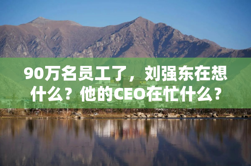 90万名员工了，刘强东在想什么？他的CEO在忙什么？