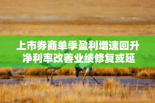 上市券商单季盈利增速回升 净利率改善业绩修复或延续