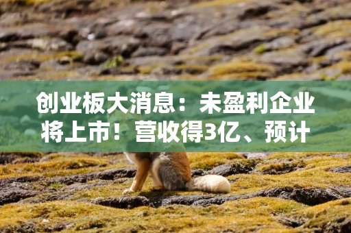 创业板大消息：未盈利企业将上市！营收得3亿、预计市值能达50亿
