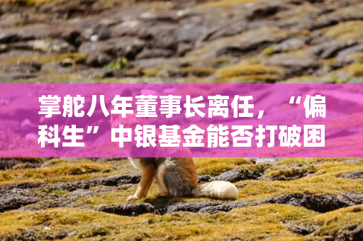 掌舵八年董事长离任，“偏科生”中银基金能否打破困局？