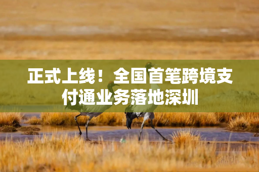 正式上线！全国首笔跨境支付通业务落地深圳
