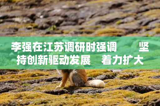 李强在江苏调研时强调　　坚持创新驱动发展　着力扩大有效需求　　推动经济运行持续向好