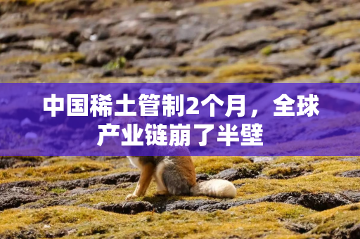 中国稀土管制2个月，全球产业链崩了半壁