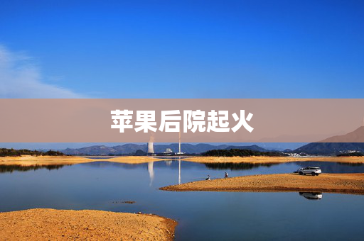 苹果后院起火