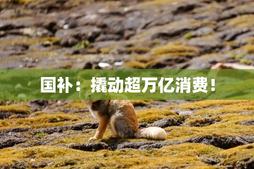 国补：撬动超万亿消费！