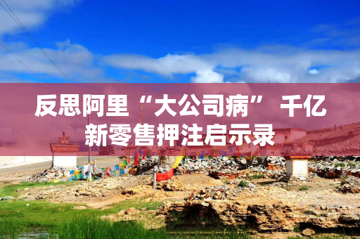 反思阿里“大公司病” 千亿新零售押注启示录