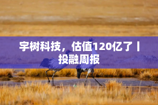 宇树科技，估值120亿了丨投融周报