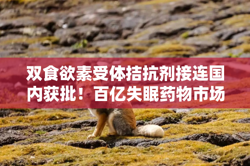 双食欲素受体拮抗剂接连国内获批！百亿失眠药物市场或迎来新变革