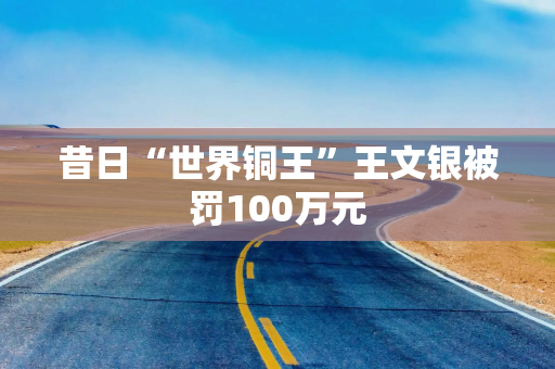 昔日“世界铜王”王文银被罚100万元