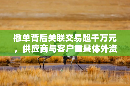 撤单背后关联交易超千万元，供应商与客户重叠体外资金循环引关注