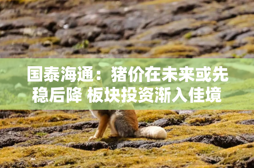 国泰海通：猪价在未来或先稳后降 板块投资渐入佳境