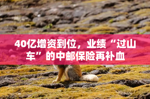 40亿增资到位，业绩“过山车”的中邮保险再补血