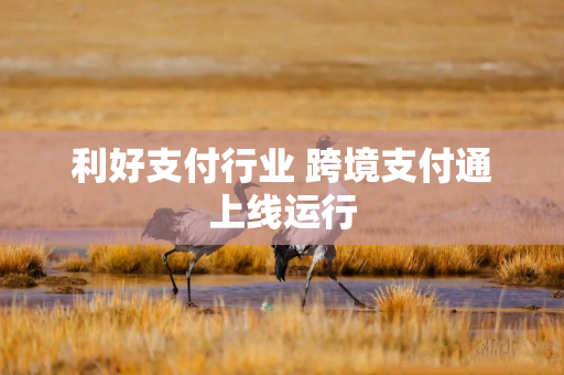 利好支付行业 跨境支付通上线运行