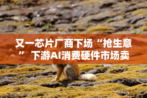 又一芯片厂商下场“抢生意” 下游AI消费硬件市场卖爆