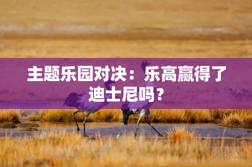 主题乐园对决：乐高赢得了迪士尼吗？