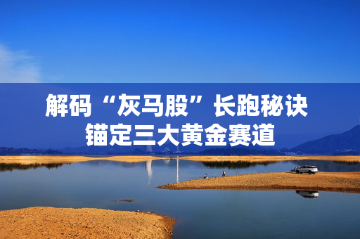 解码“灰马股”长跑秘诀 锚定三大黄金赛道