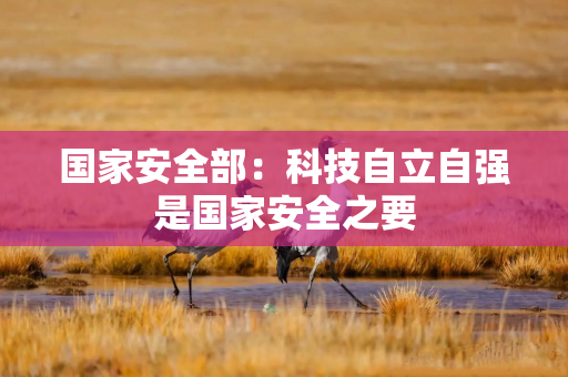 国家安全部：科技自立自强是国家安全之要