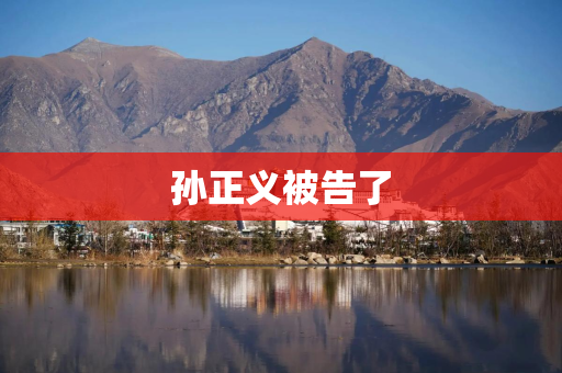 孙正义被告了