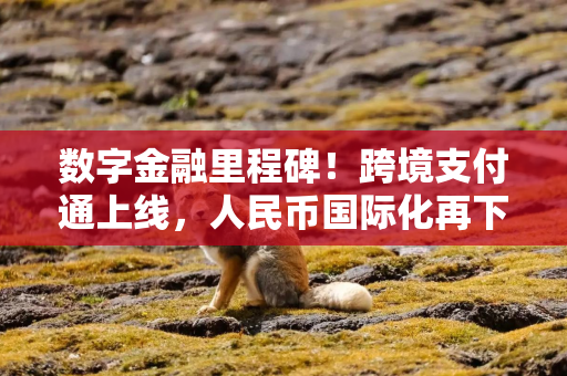 数字金融里程碑！跨境支付通上线，人民币国际化再下一城