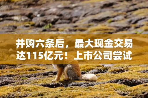 并购六条后，最大现金交易达115亿元！上市公司尝试定向可转债重组