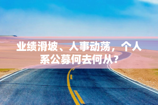 业绩滑坡、人事动荡，个人系公募何去何从？
