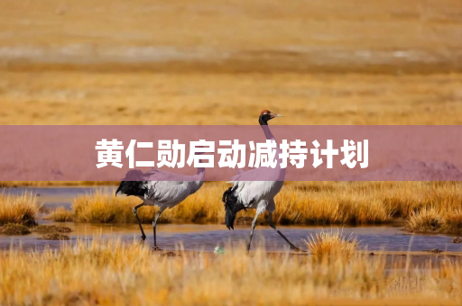 黄仁勋启动减持计划
