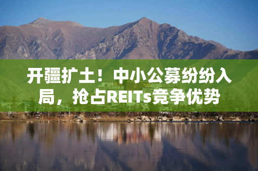 开疆扩土！中小公募纷纷入局，抢占REITs竞争优势