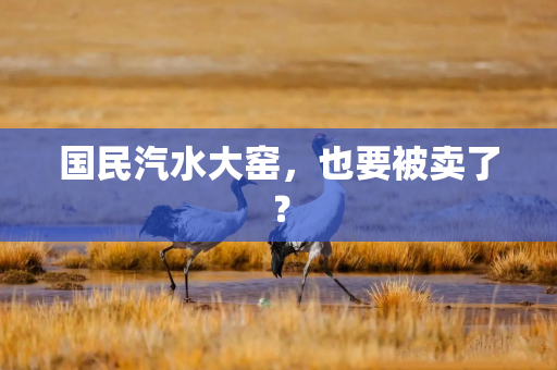 国民汽水大窑，也要被卖了？
